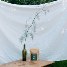 Lade das Bild in den Galerie-Viewer, Bauchwohl: Kräutertee bei Blähbauch und Völlegefühl