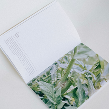 Lade das Bild in den Galerie-Viewer, Fotomagazin: Scents of Summer